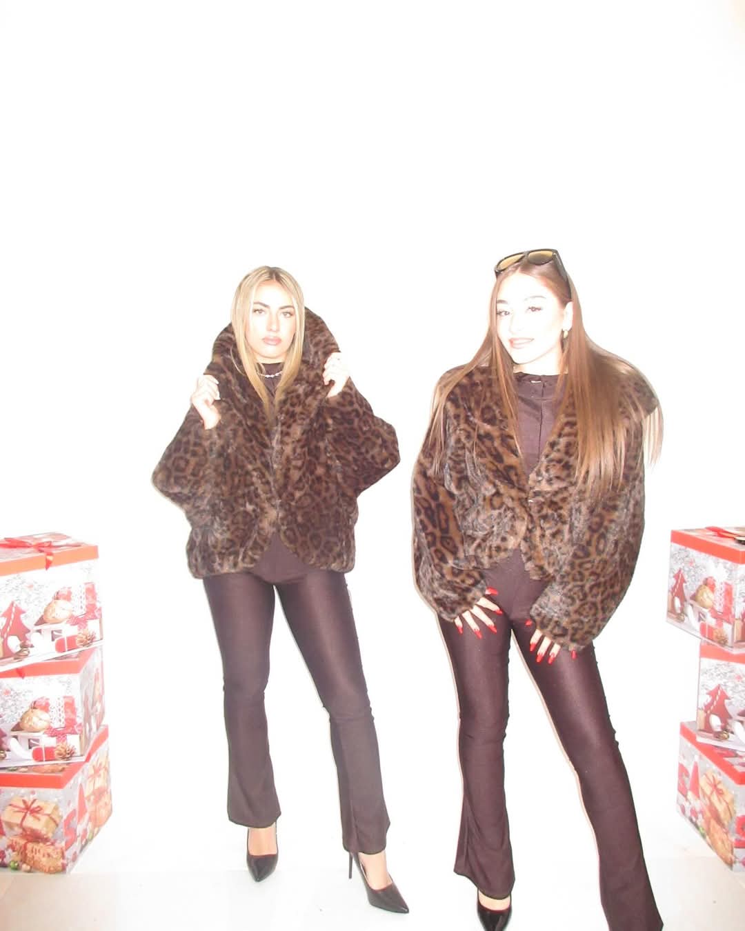 Ecofur animalier